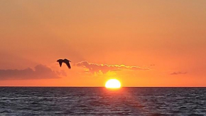 Newly Renovated Beachfront Condo, Fort Myers Beach